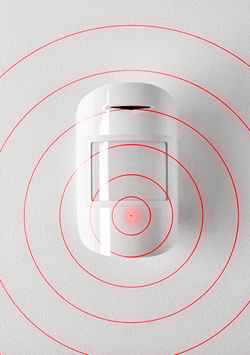 La surveillance technique à distance des sites